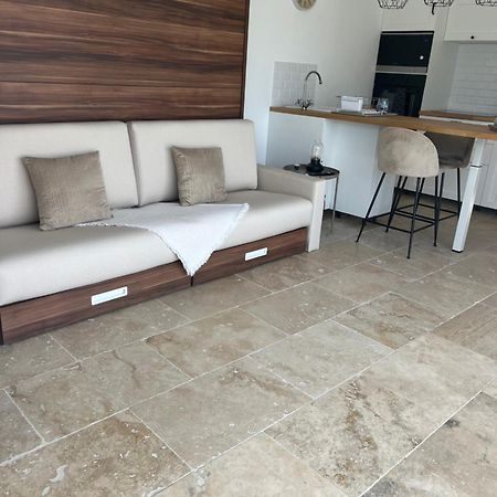 Magnifique Studio Avec Piscine 阿爾勒 外观 照片